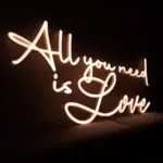 Neon LED o treści "All you need is love"